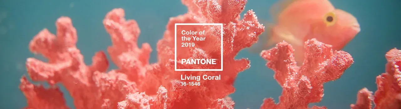 Color of the Year 2024 – Peach Fuzz