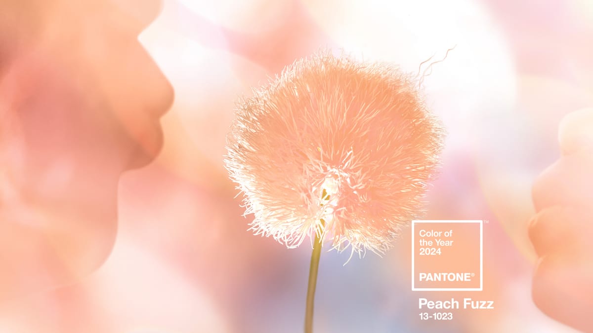 Color of the Year 2024 – Peach Fuzz